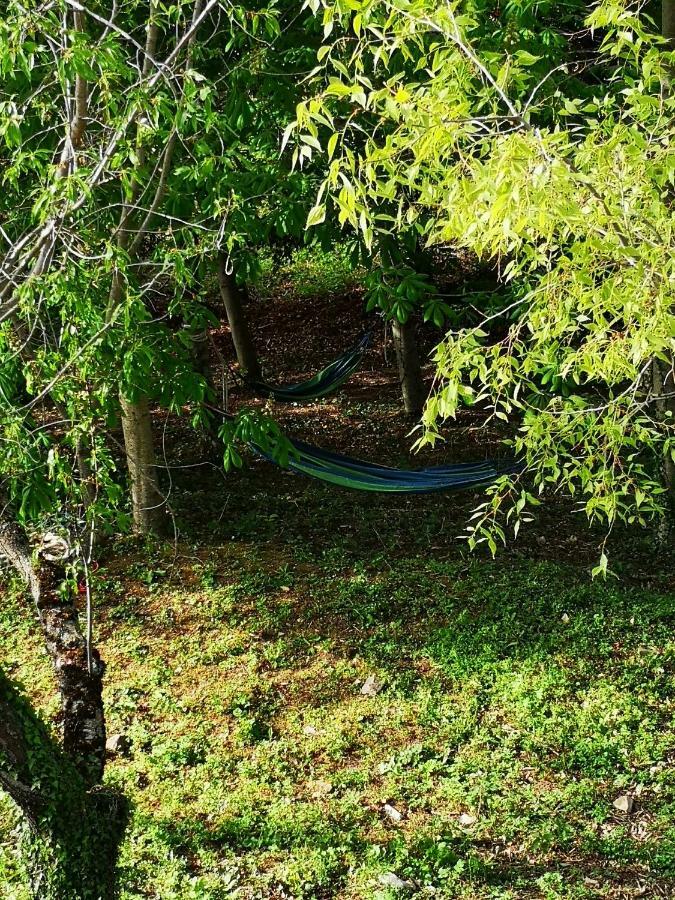 아시시 Agriturismo Il Noceto 빌라 외부 사진