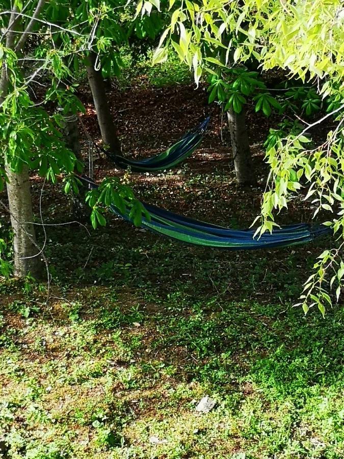 아시시 Agriturismo Il Noceto 빌라 외부 사진