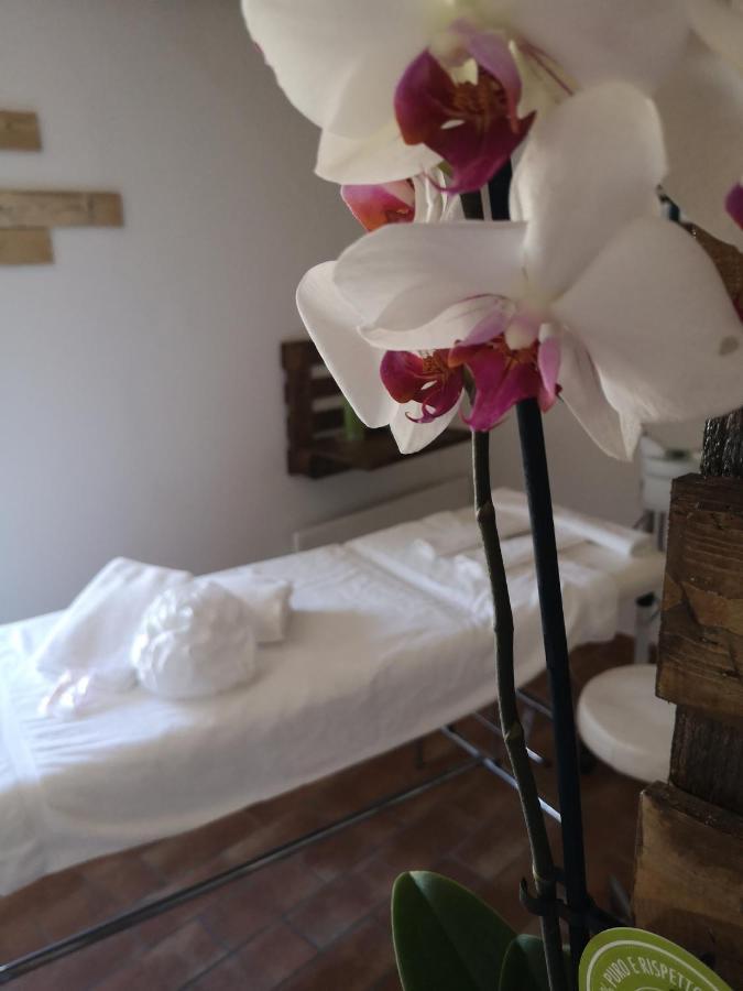아시시 Agriturismo Il Noceto 빌라 외부 사진